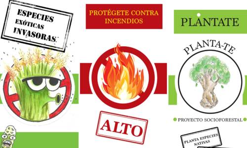 Imagen de La Unidad de Medio Ambiente impulsa la concienciación ambiental ante incendios y especies invasoras