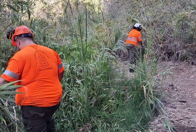 Imagen de El Cabildo impulsa la conservación del sendero El Guro - Salto del Agua en Valle Gran Rey