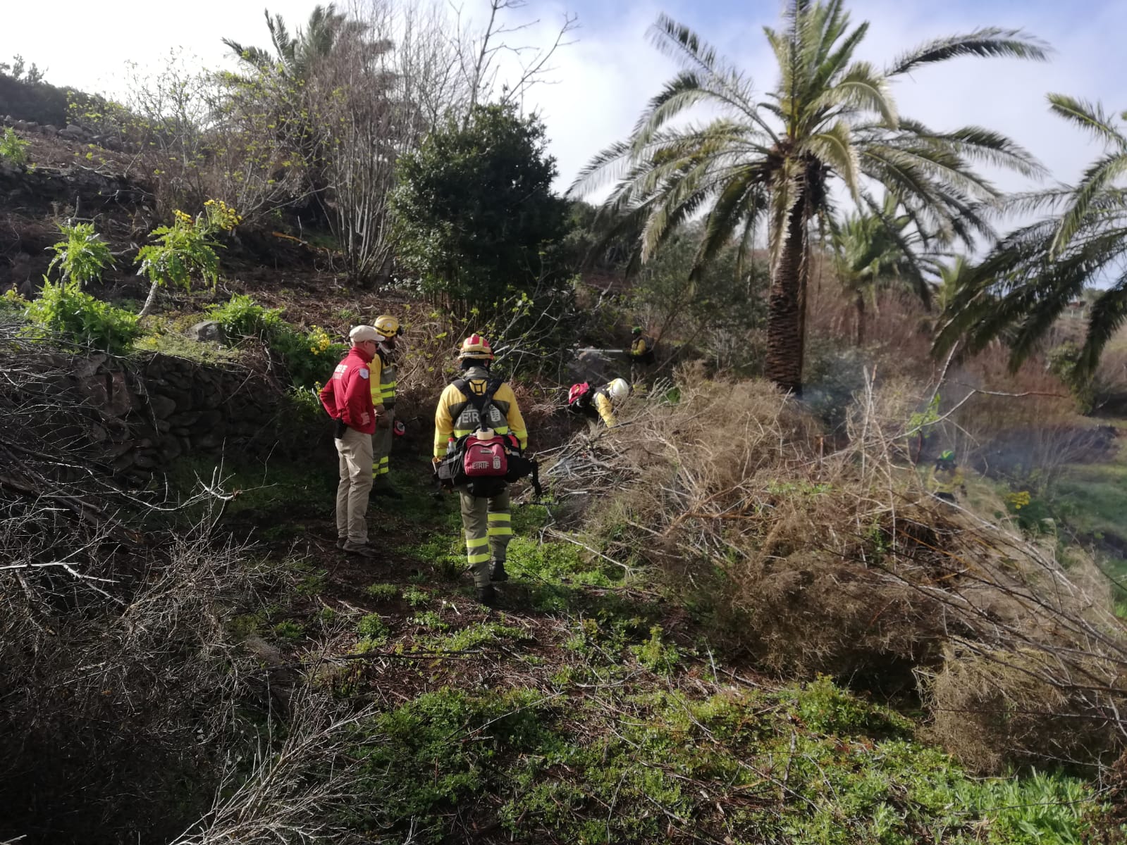 Imagen de El Cabildo inicia los trabajos de ejecución de un cinturón de defensa contra incendios en Chipude