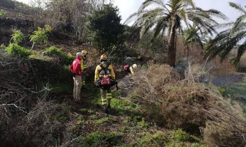 Imagen de El Cabildo inicia los trabajos de ejecución de un cinturón de defensa contra incendios en Chipude