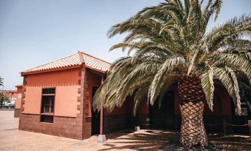 Imagen de El Cabildo encarga a AIDER la gestión del Centro de Interpretación de la Miel de Palma