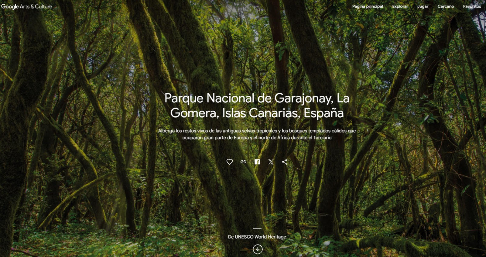 Imagen de La Gomera protagoniza un reportaje de la colección oficial de la UNESCO en la plataforma Google Arts & Culture