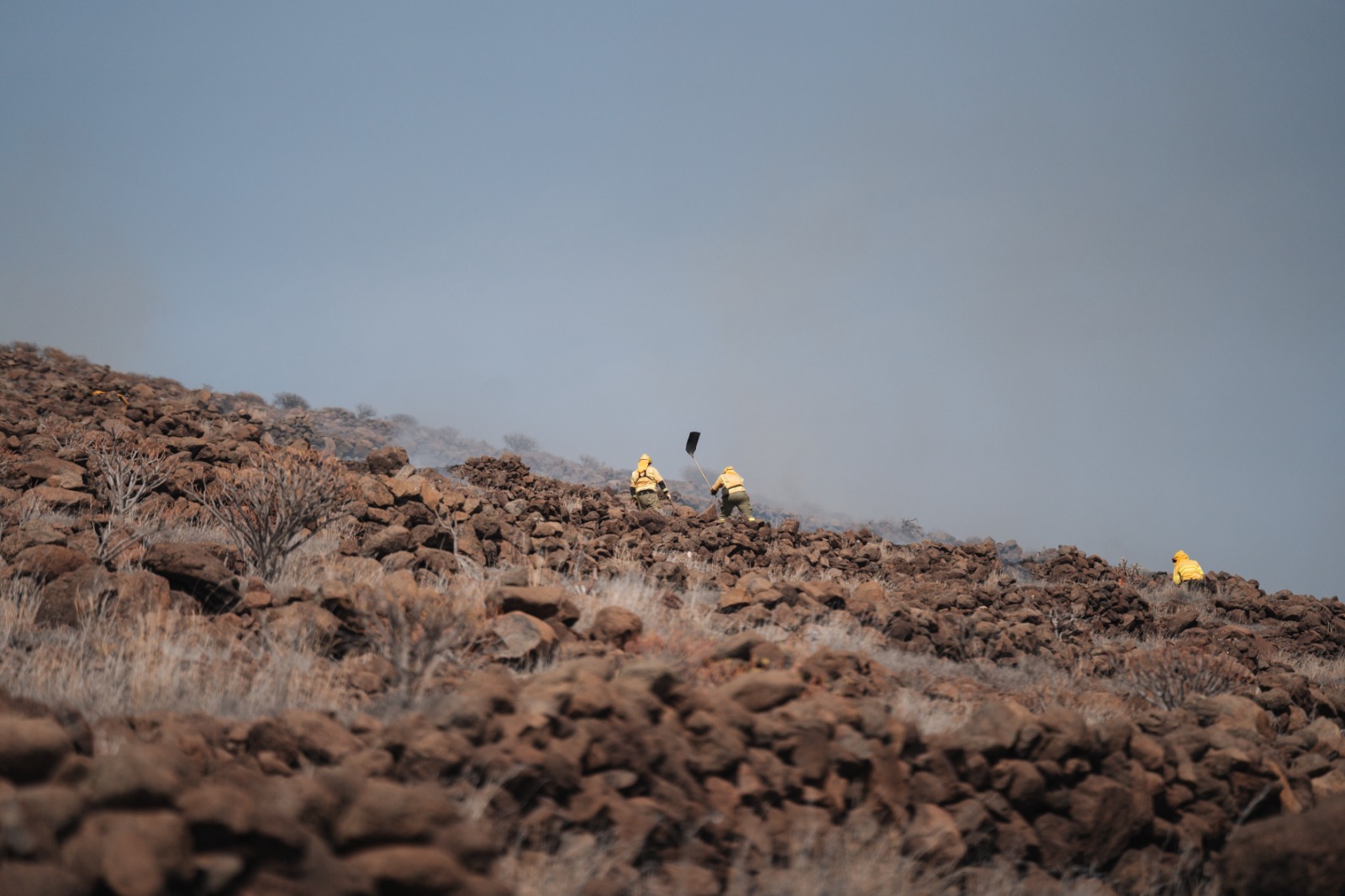 Imagen de El Cabildo activa el grado 0 de alerta ante el riesgo de incendios forestales