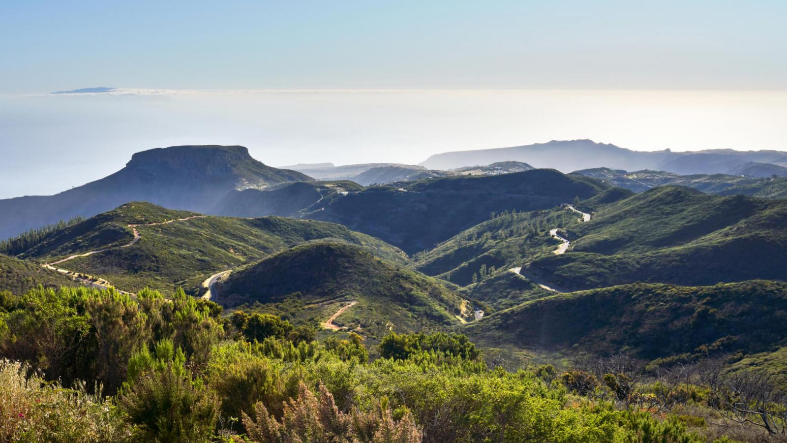 Imagen de El Cabildo organiza un ciclo de conferencias en torno a las particularidades naturales de La Gomera