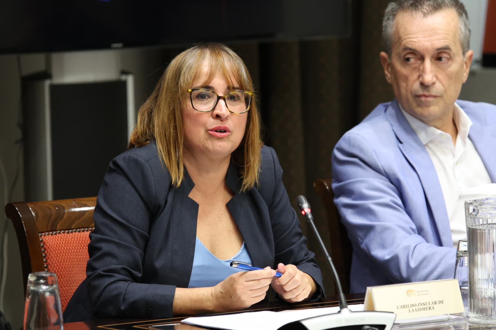 Imagen de La Gomera respalda la nueva Ley de Accesibilidad y pide financiación y coordinación para garantizar su aplicación real