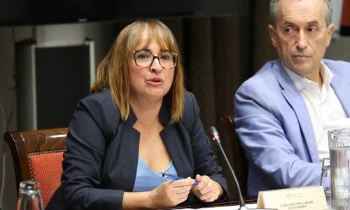 Imagen de La Gomera respalda la nueva Ley de Accesibilidad y pide financiación y coordinación para garantizar su aplicación real