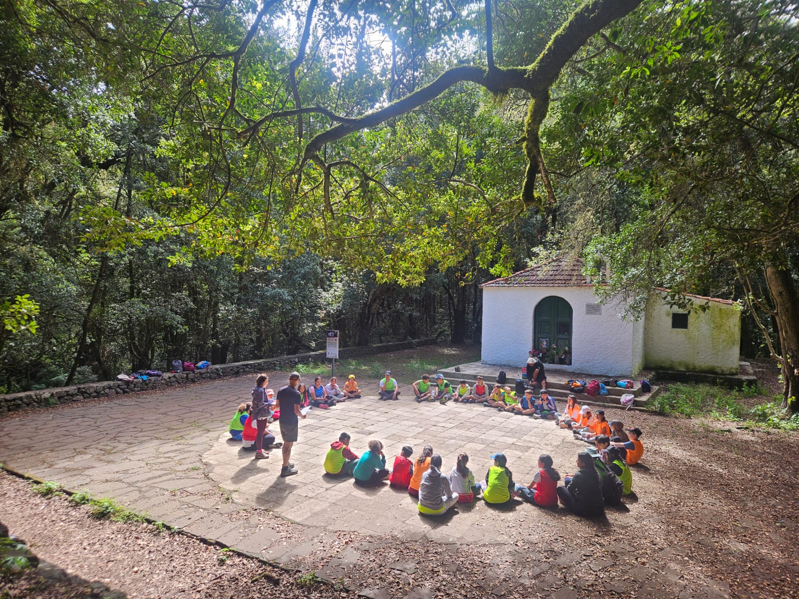 Imagen de El Cabildo apertura una nueva edición del Campamento de Verano de El Cedro 