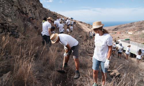 Imagen de La Gomera reúne a un centenar de voluntarios en una jornada de plantación por el Día del Árbol