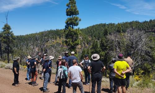 Imagen de Técnicos de La Gomera participan en unas jornadas sobre el uso del pastoreo para prevenir incendios