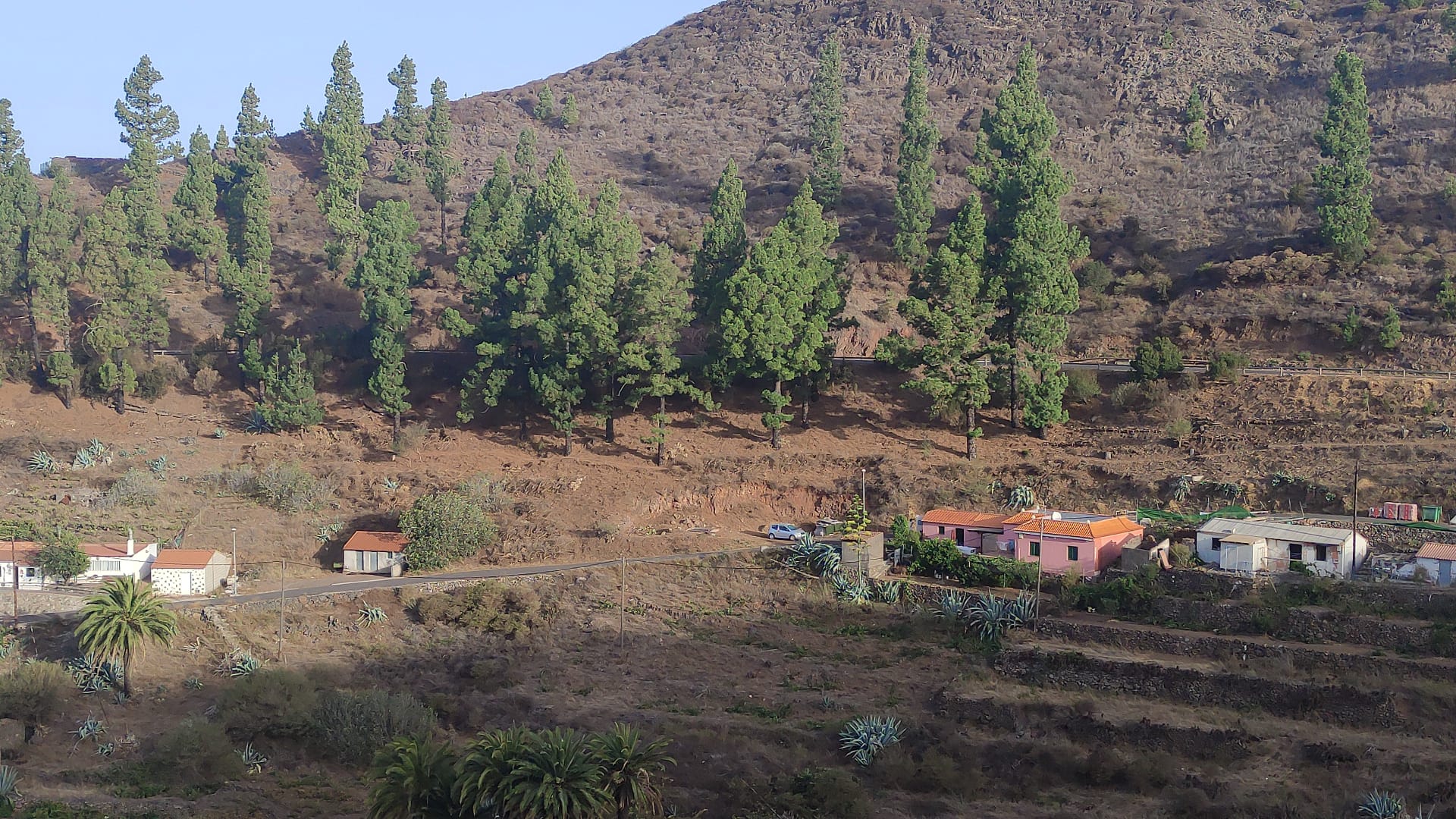Imagen de El Cabildo ejecuta trabajos de refuerzo contra incendios en núcleos poblacionales de las medianías