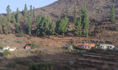 Imagen de El Cabildo ejecuta trabajos de refuerzo contra incendios en núcleos poblacionales de las medianías