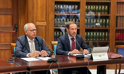 Imagen de La Fecai respalda la declaración de emergencia energética para Canarias