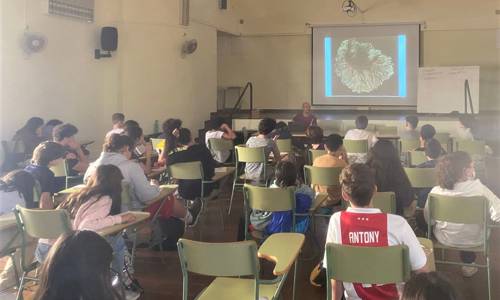 Imagen de El Cabildo fomenta la conciencia ambiental en los centros educativos con el proyecto ‘Plántate’