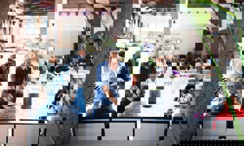 Imagen de El Cabildo sitúa el bienestar social como eje prioritario del presupuesto insular para 2026