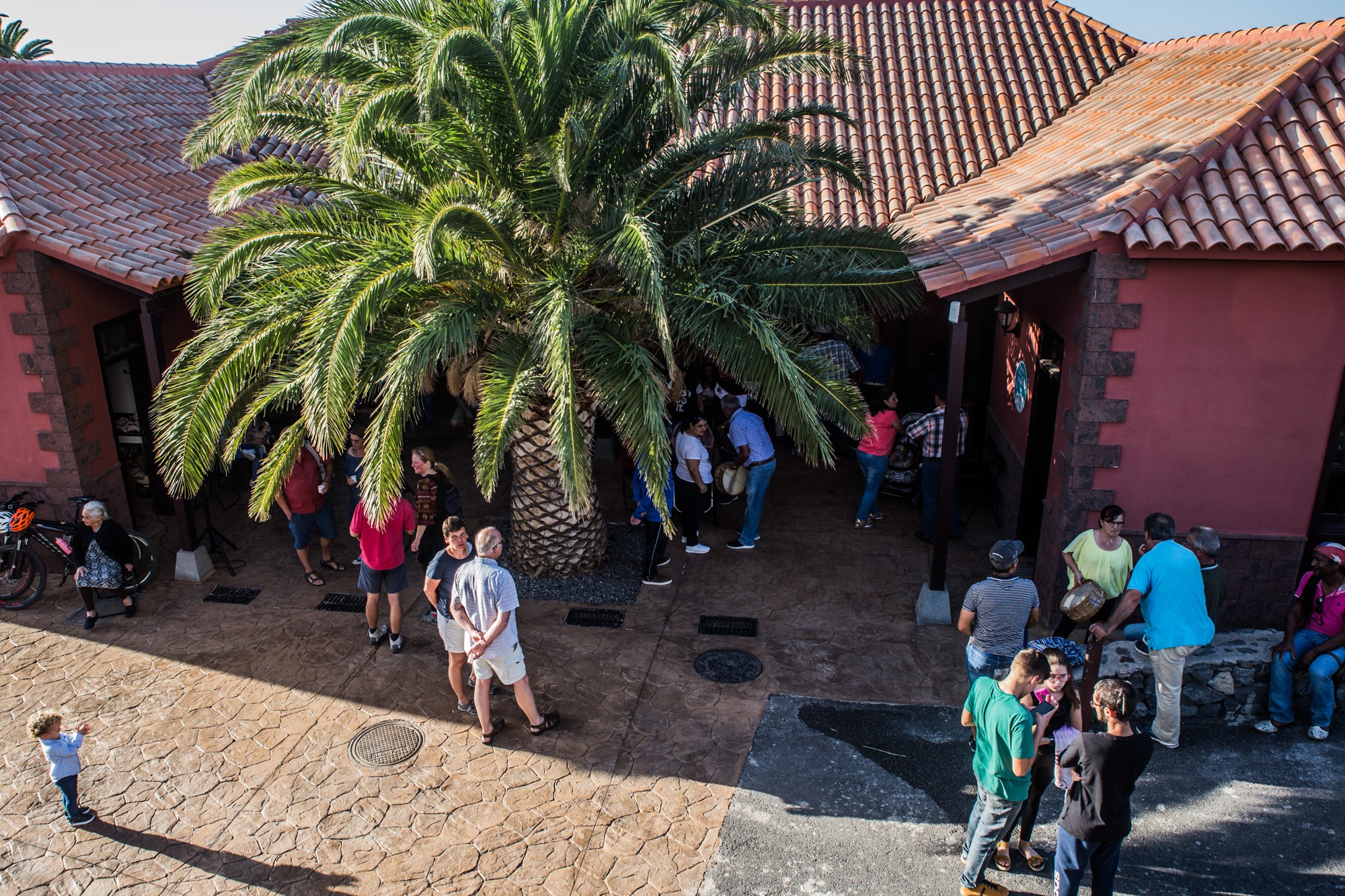 Imagen de El Centro de Interpretación de la Miel de Palma se consolida como dinamizador local con más de 5 mil visitantes