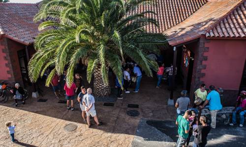 Imagen de El Centro de Interpretación de la Miel de Palma se consolida como dinamizador local con más de 5 mil visitantes