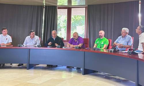 Imagen de El Cabildo destina más de 800 mil euros a nuevos incentivos para taxistas, ganaderos y guaraperos