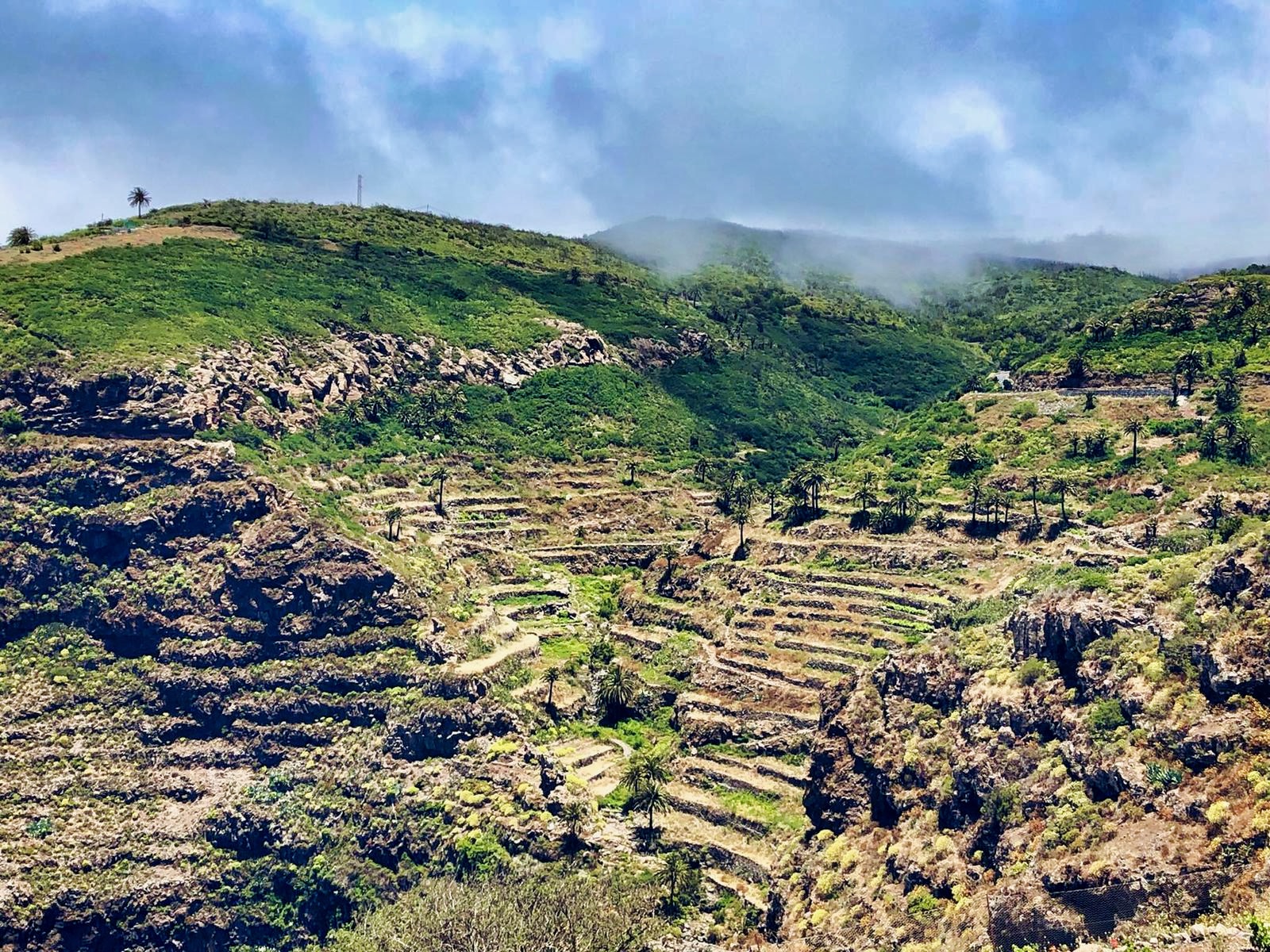 Imagen de La Gomera será punto de encuentro nacional para abordar la agroecología desde el ámbito municipal