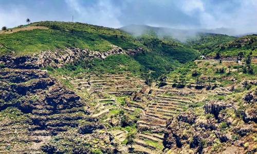 Imagen de La Gomera será punto de encuentro nacional para abordar la agroecología desde el ámbito municipal