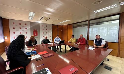 Imagen de Cabildo y asociaciones de empresarios abordan nuevas medidas para la dinamización económica