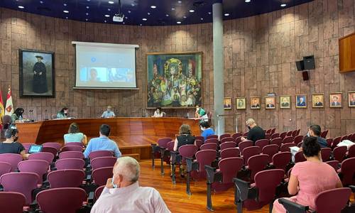 Imagen de El Cabildo acuerda manifestar su apoyo institucional a la juventud de la isla