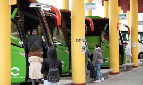 Imagen de El Cabildo bonifica en un 50% el coste del bono general para viajeros de GuaguaGomera