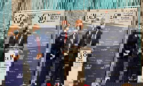 Imagen de El Cabildo recibe el reconocimiento del Colegio de Farmacéuticos por su compromiso social