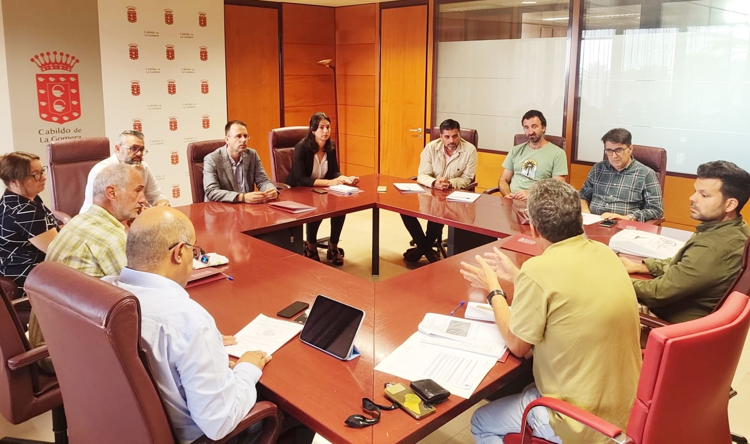 Imagen de El Gobierno canario y el Cabildo de La Gomera refuerzan la colaboración en el control del picudín en palmeras