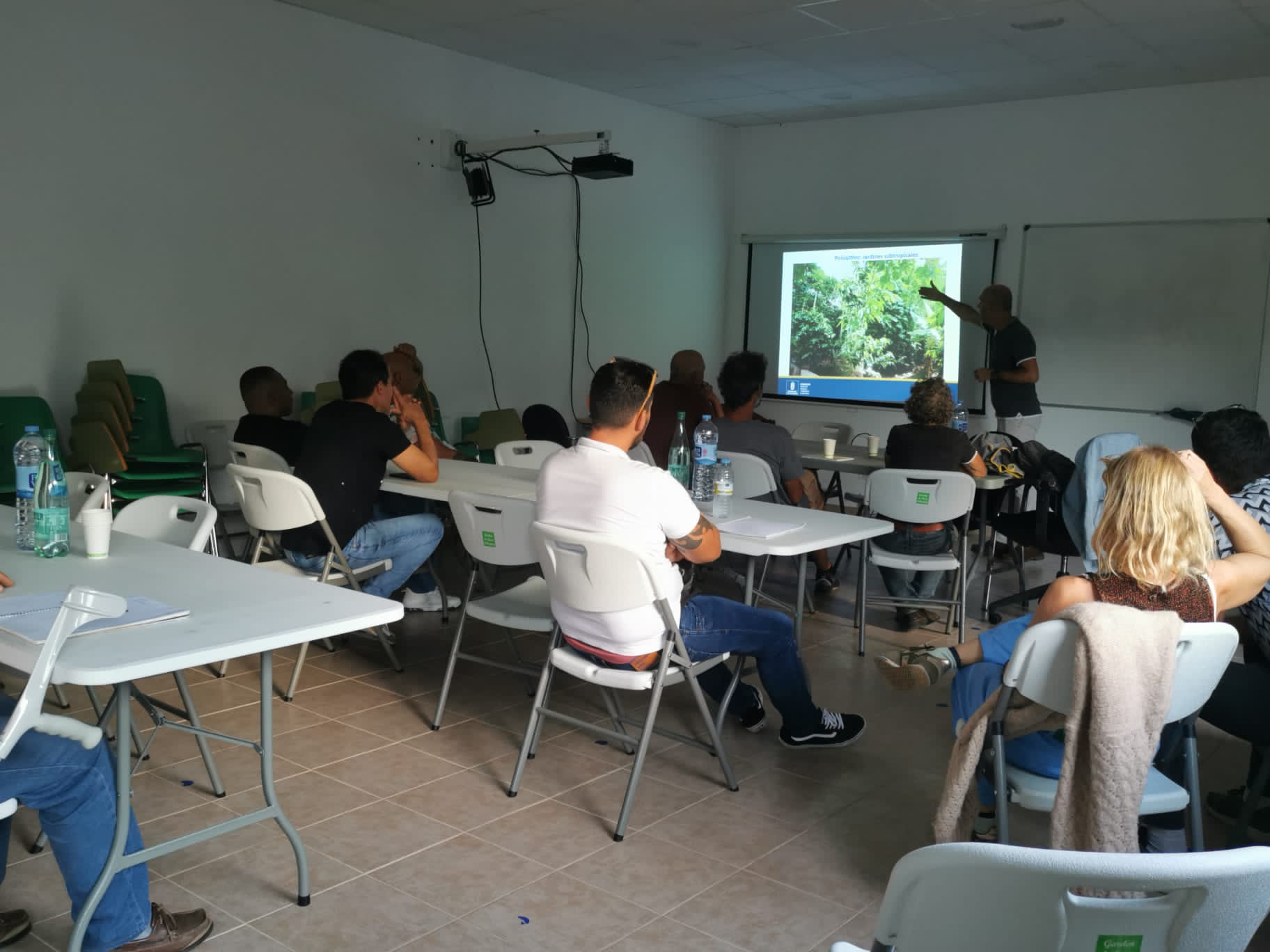 Imagen de La Gomera celebra una jornada sobre el manejo de nuevas plantaciones de café en la isla