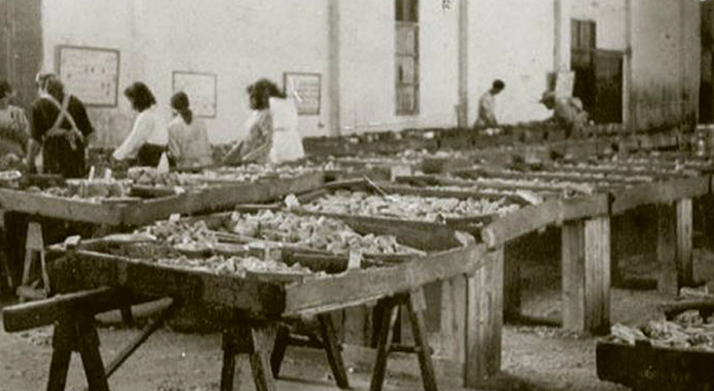 Imagen de El Cabildo homenajea a las mujeres de los pescadores con motivo del Día de la Mujer Rural 