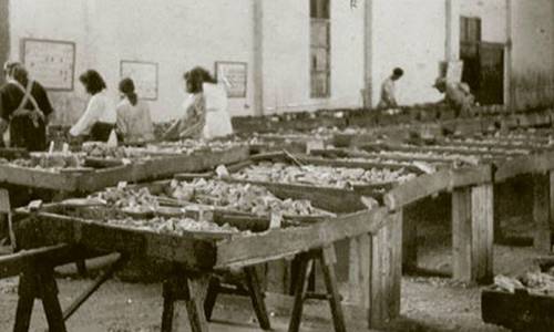 Imagen de El Cabildo homenajea a las mujeres de los pescadores con motivo del Día de la Mujer Rural