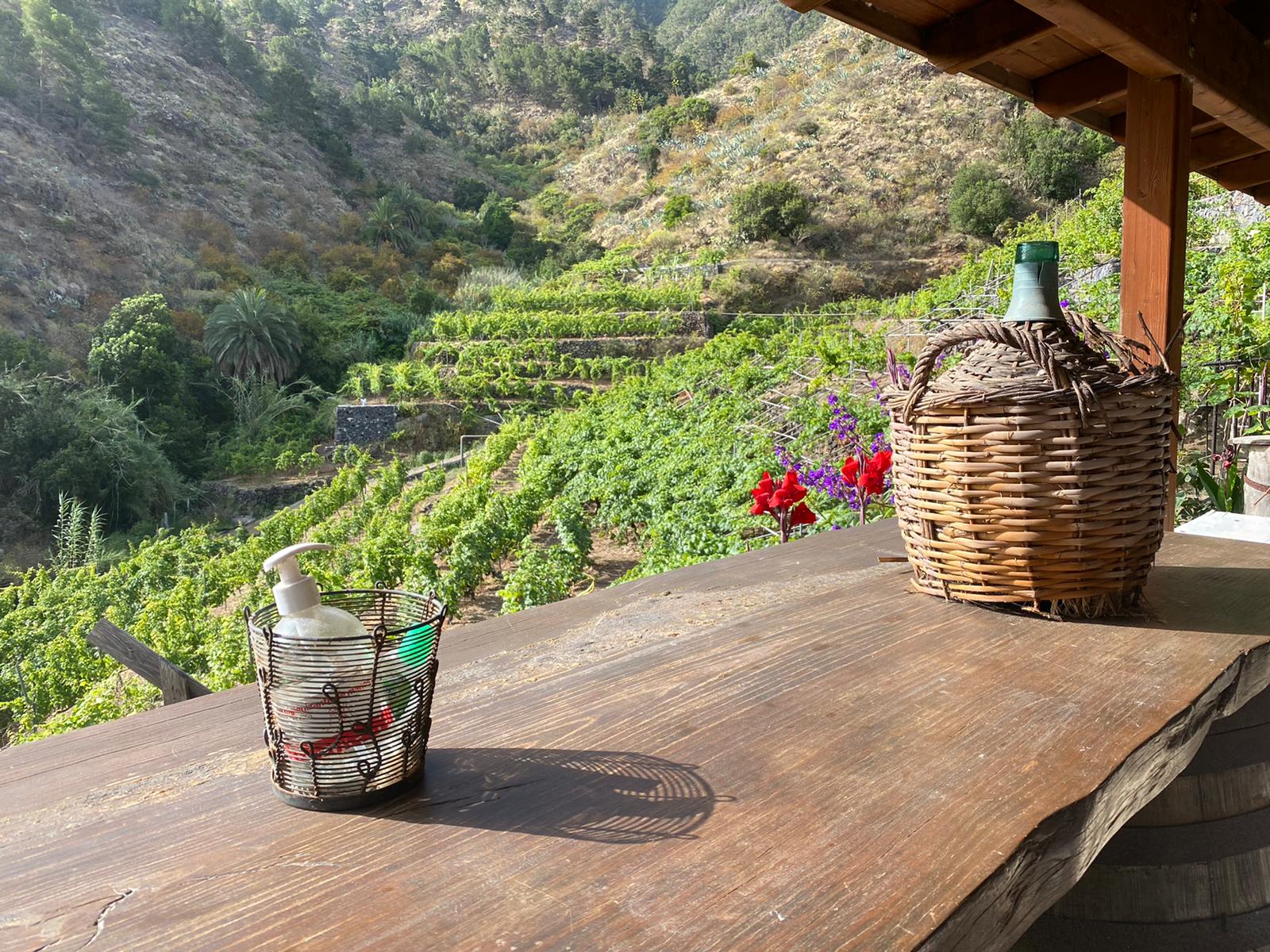 Imagen de El Cabildo de La Gomera felicita a la Bodega Montoro por la medalla de oro obtenida en VinEspaña 2023