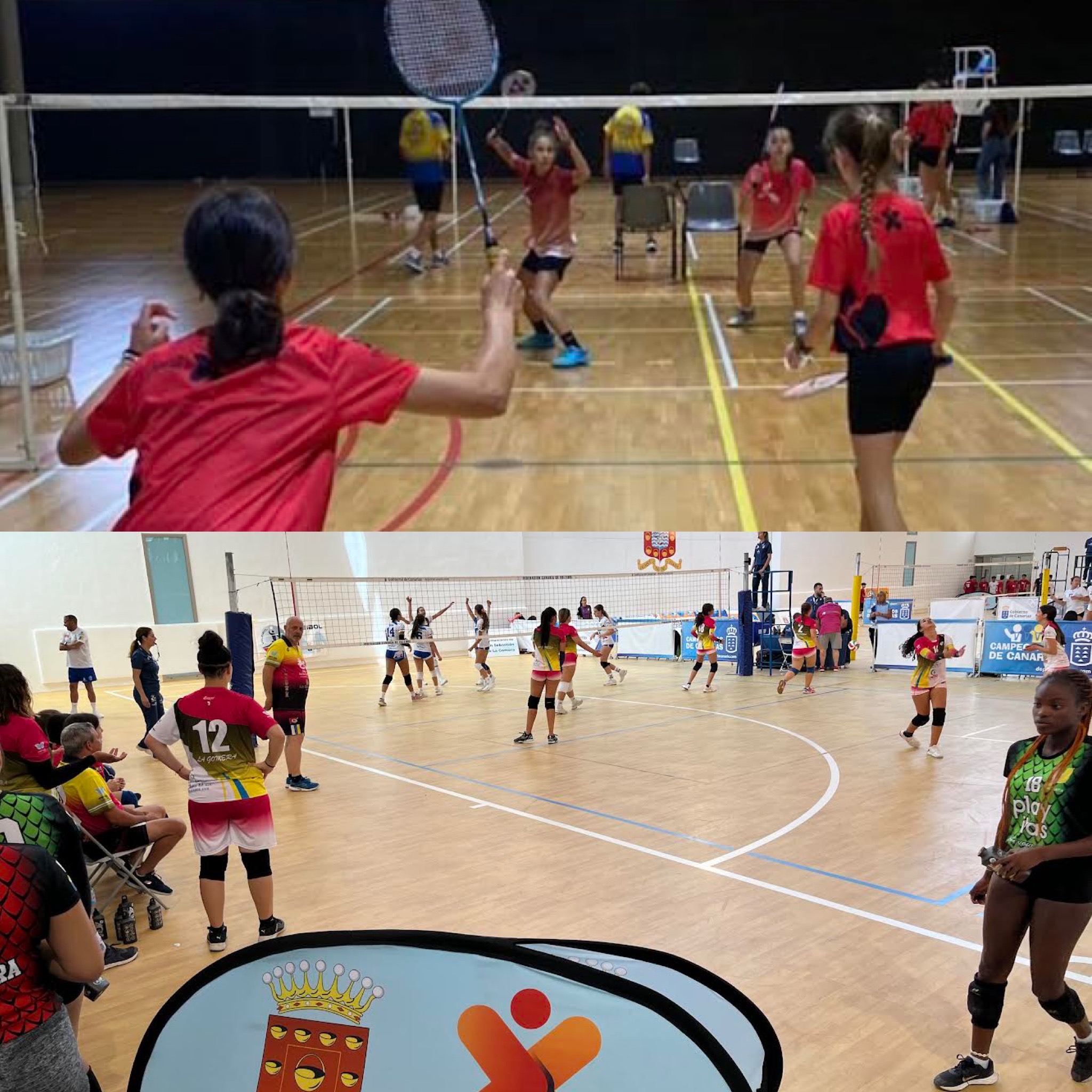 Imagen de El deporte gomero celebra sus éxitos durante el fin de semana