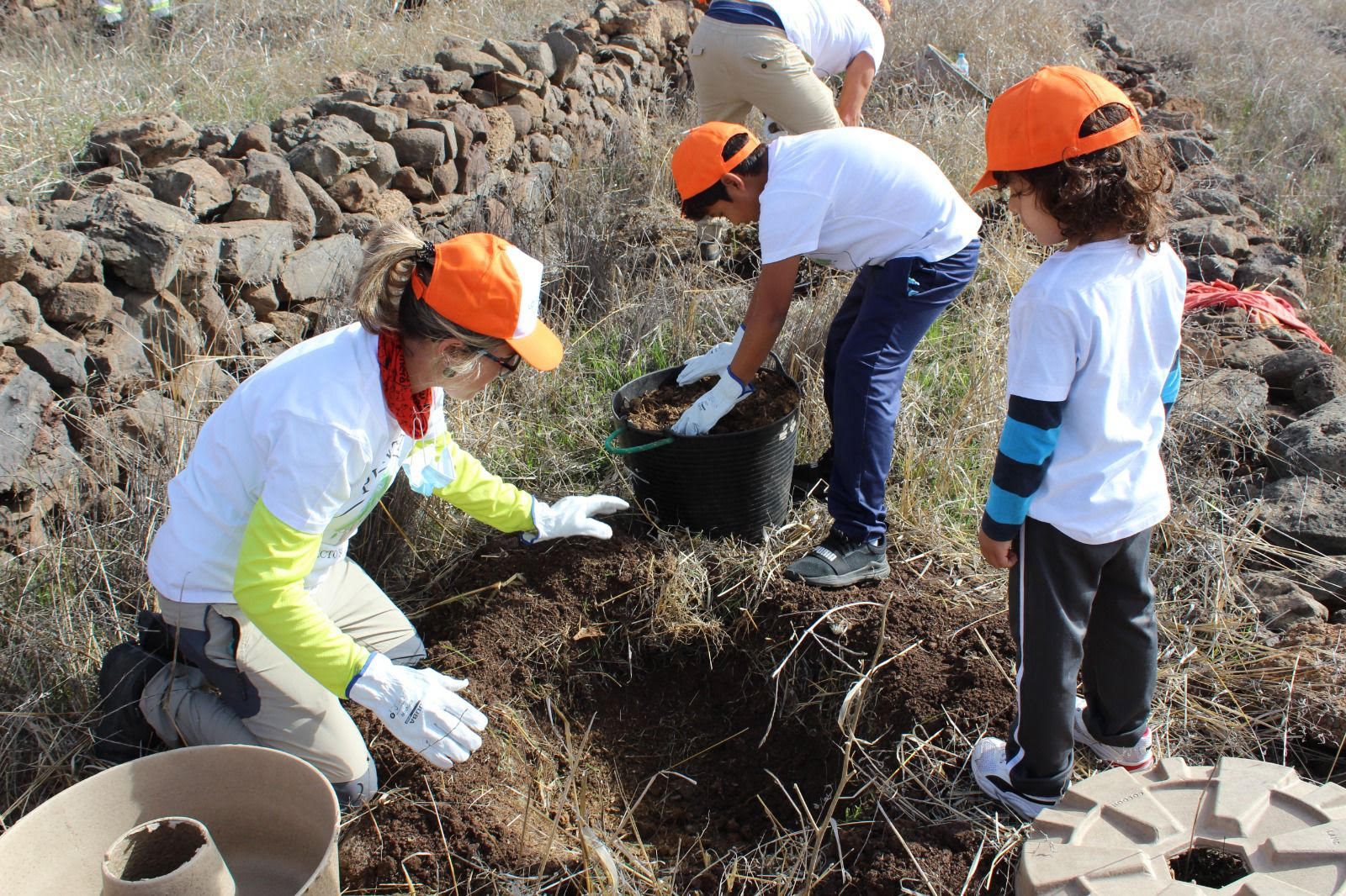 Imagen de La Gomera celebra el Día del Árbol este sábado con una jornada de plantación