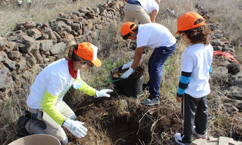 Imagen de La Gomera celebra el Día del Árbol este sábado con una jornada de plantación