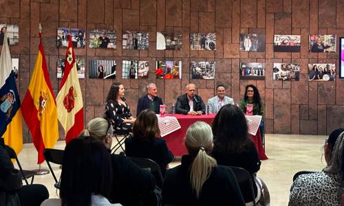 Imagen de El Cabildo presenta al sector comercial de la isla el calendario de campañas de dinamización para 2023