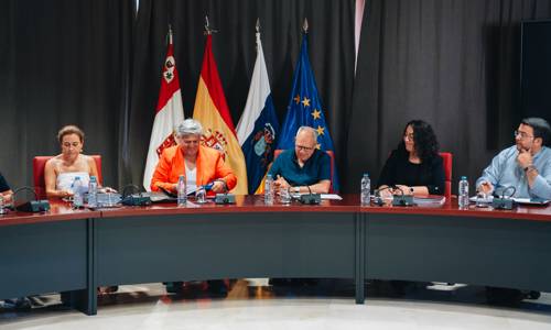 Imagen de Cabildo y ayuntamientos intensifican su colaboración con la Comisionada de Transparencia