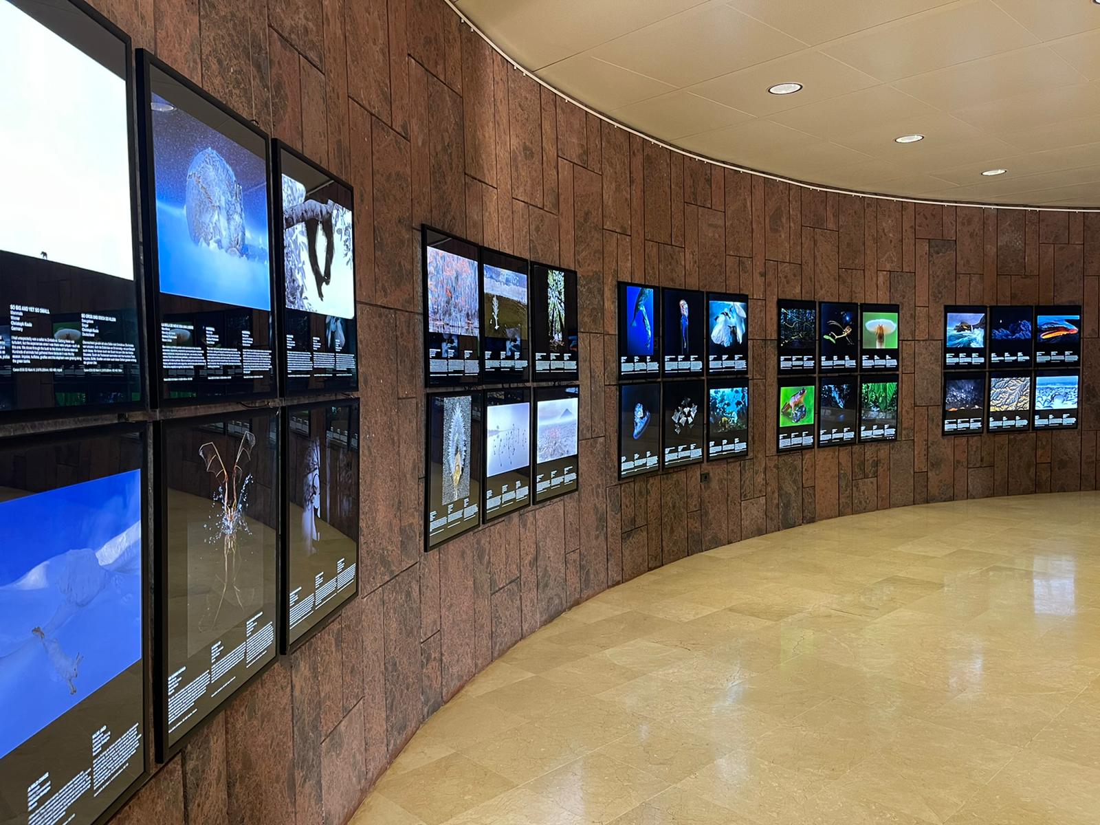 Imagen de El Otoño Cultural en La Gomera inicia este fin de semana su programación de actividades