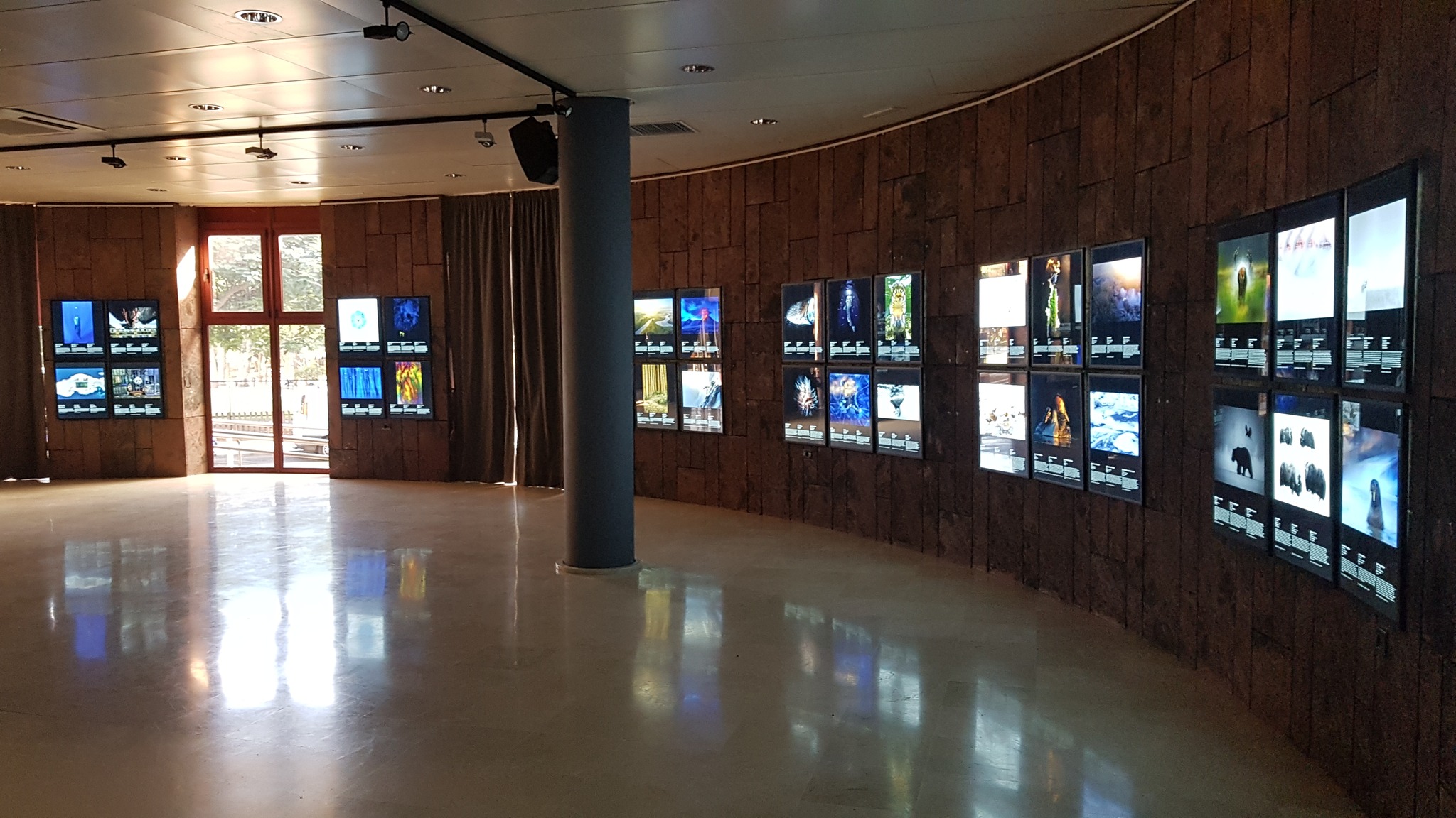 Imagen de La Sala de Exposiciones del Cabildo acoge la muestra ‘Fotógrafos de la Naturaleza 2022’