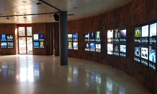 Imagen de La Sala de Exposiciones del Cabildo acoge la muestra ‘Fotógrafos de la Naturaleza 2022’