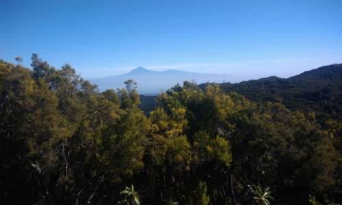 Imagen de El Cabildo pide precaución ante la alerta por temperaturas máximas y riesgo de incendios forestales