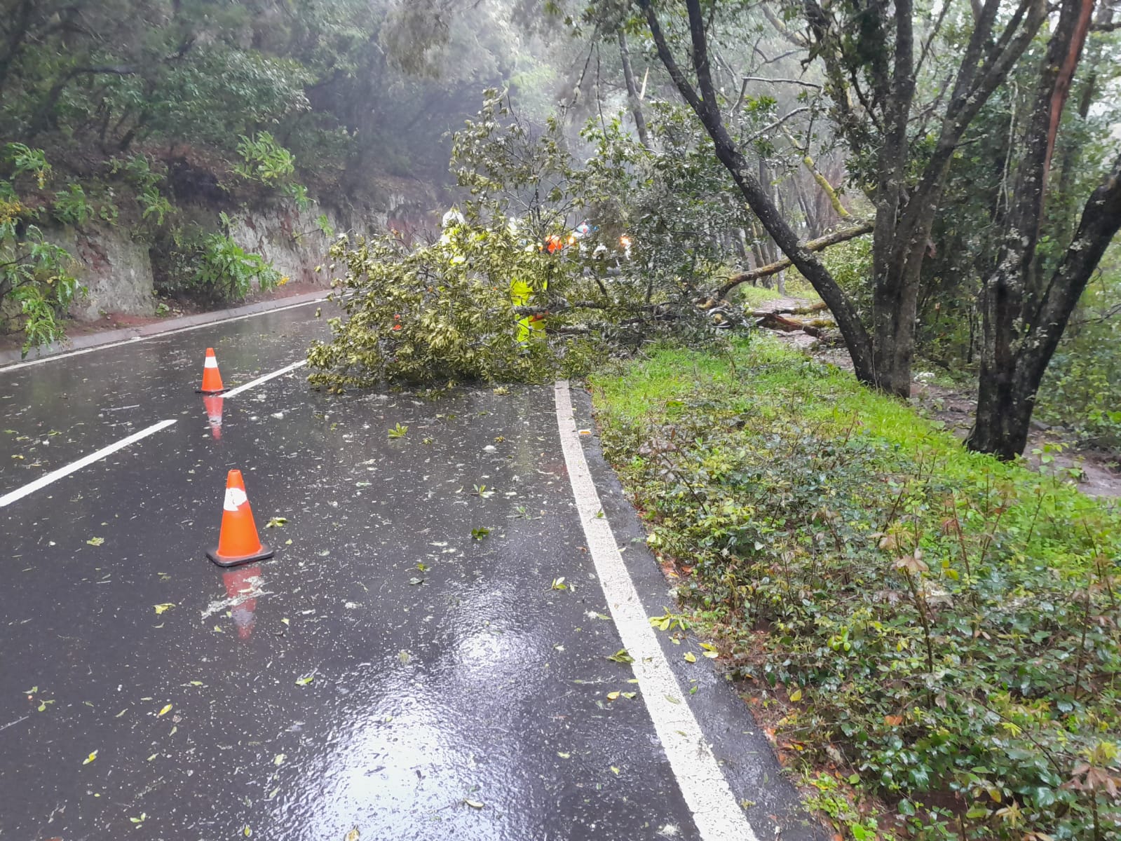 Imagen de El operativo de carreteras actúa en una veintena de incidencias por fenómenos meteorológicos  
