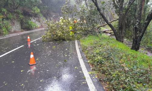 Imagen de El operativo de carreteras actúa en una veintena de incidencias por fenómenos meteorológicos