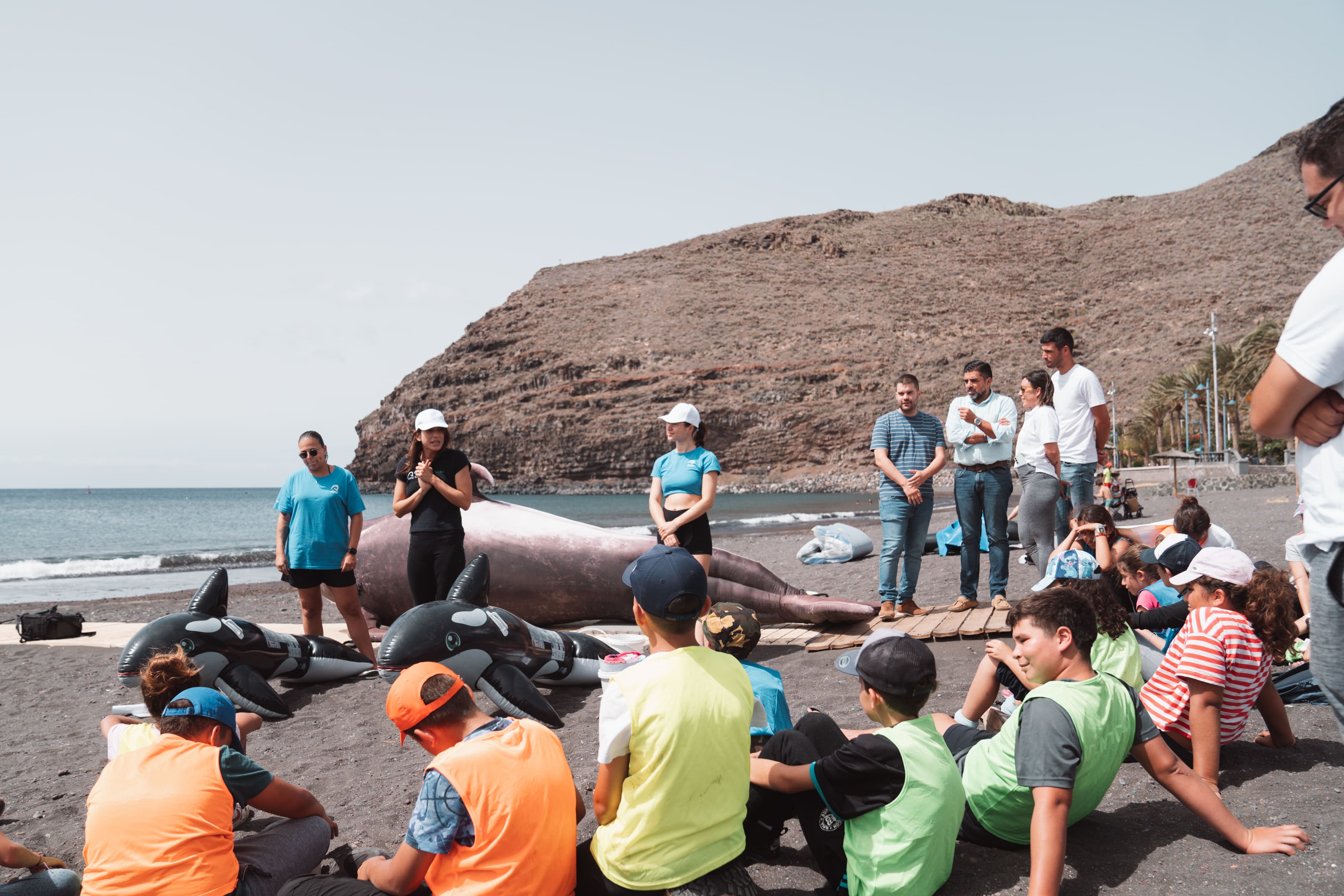 Imagen de Cabildo y Loro Parque Fundación incrementan la capacidad de acción para el rescate de cetáceos