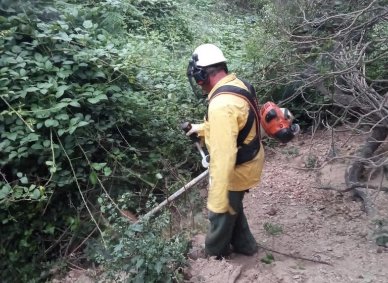 Imagen de La Gomera activa un programa para incrementar la capacidad de mantenimiento de los cauces de la isla