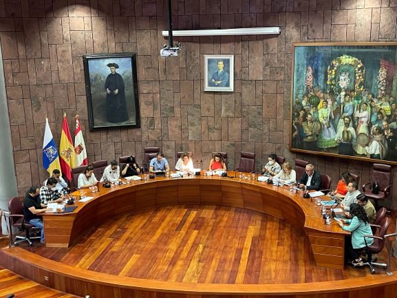 Imagen de El Cabildo respalda la creación de una unidad de oncohematología pediátrica en los hospitales de Tenerife 