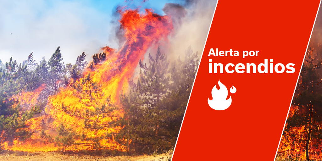 Imagen de El Cabildo de La Gomera pide extremar la precaución ante la declaración de alerta por riesgo de incendios forestales 