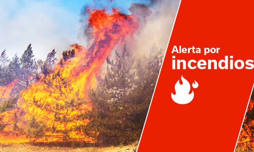 Imagen de El Cabildo activa el PEIN por la alerta máxima de incendios