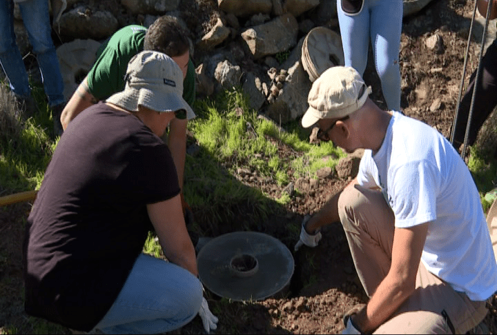 Imagen de La Gomera fomenta la reducción de la huella de carbono con una iniciativa de plantación de árboles