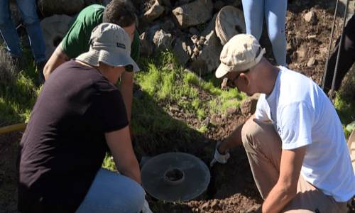 Imagen de La Gomera fomenta la reducción de la huella de carbono con una iniciativa de plantación de árboles